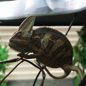 Meet your Posher, Jaclyn